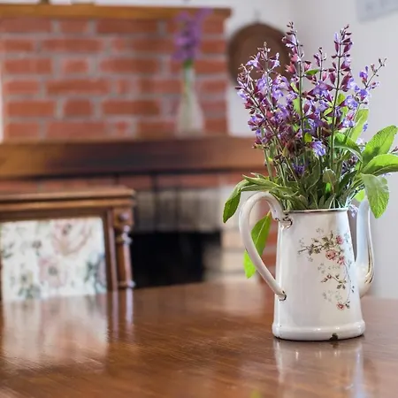 House Mihaela Miholascica