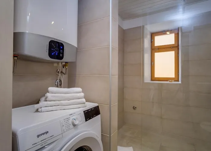 House Mihaela Case de vacanță