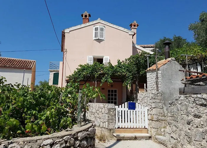 House Mihaela * Miholascica